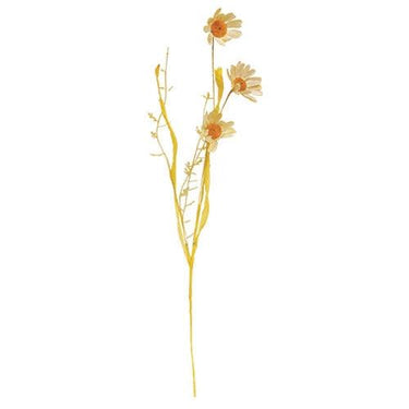 Wispy Late Summer Daisy & Dried Grass Spray - The Fox Decor